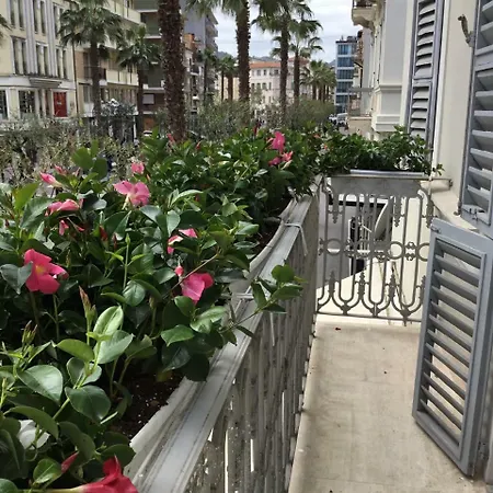 Palazzo Dei Grifoni - Luxury - Guest house *