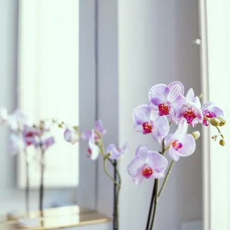 Palazzo Dei Grifoni - Luxury - Pensionat San Benedetto del Tronto